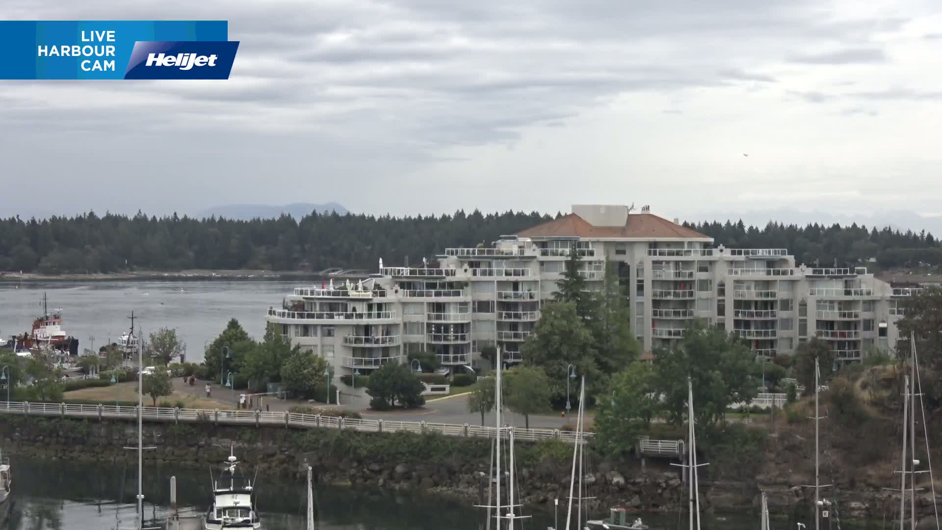 Nanamio City & Nanaimo Harbour Live Cam - Nanaimo, Nanaimo Regional, British Columbia, Canada