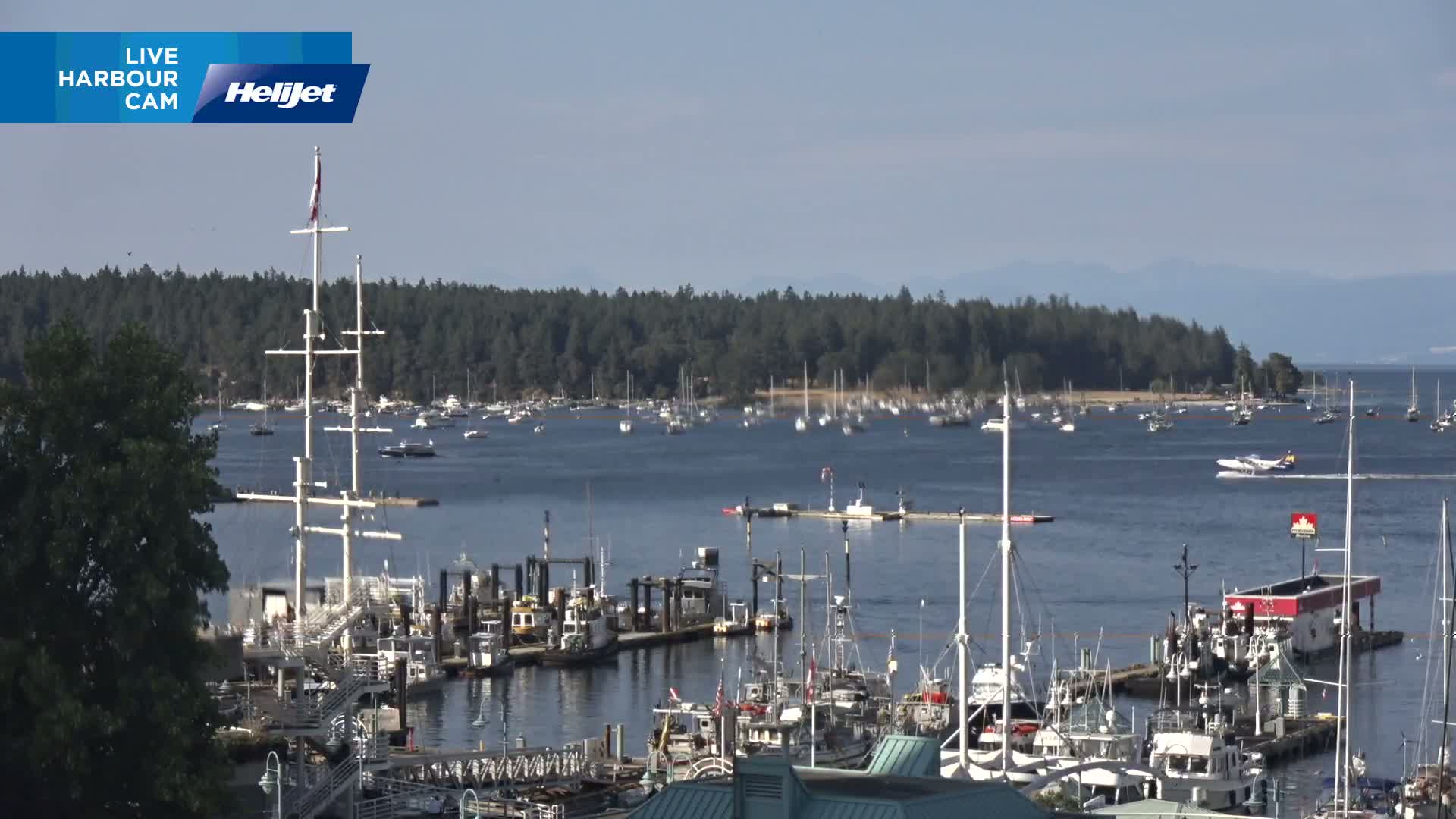 Nanamio City & Nanaimo Harbour Live Cam - Nanaimo, Nanaimo Regional, British Columbia, Canada