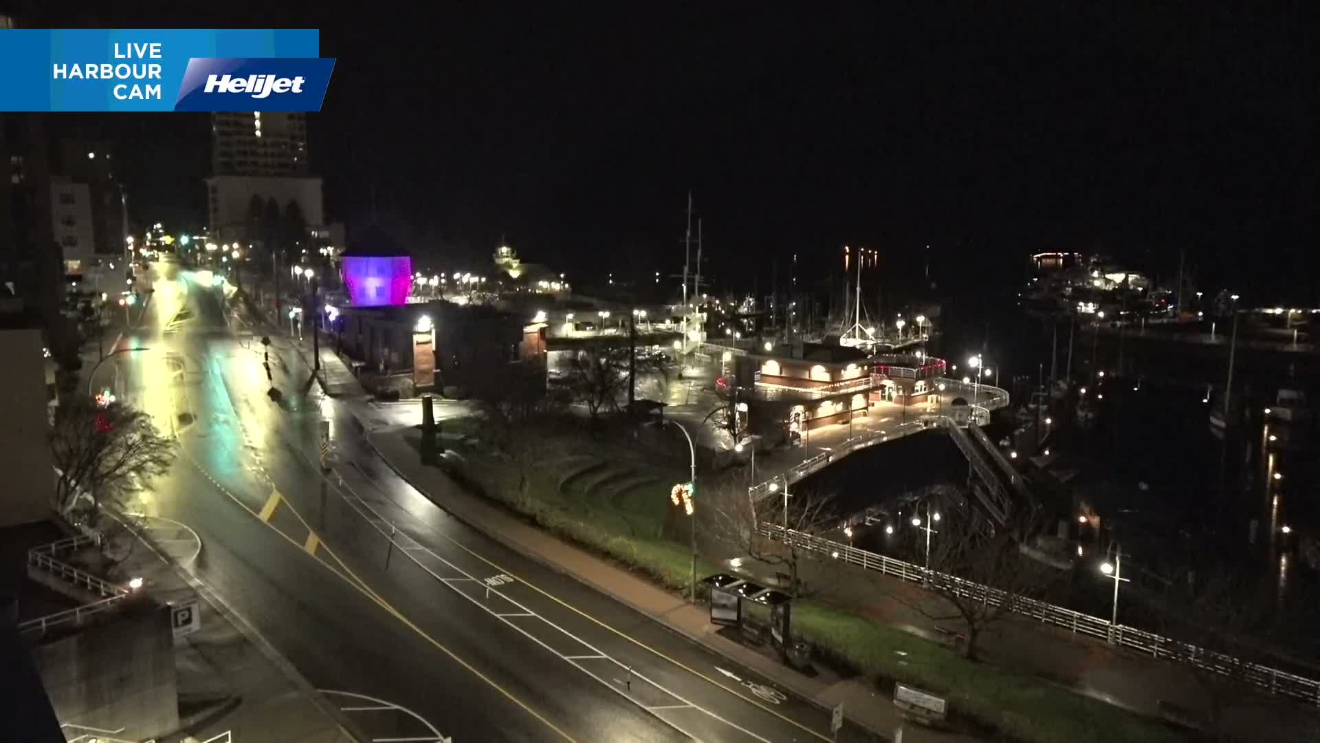 An elevated view at night reveals a rain-slicked street reflecting colorful artificial lights, including a prominent purple-lit building, curving down towards a well-lit harbor filled with boats.