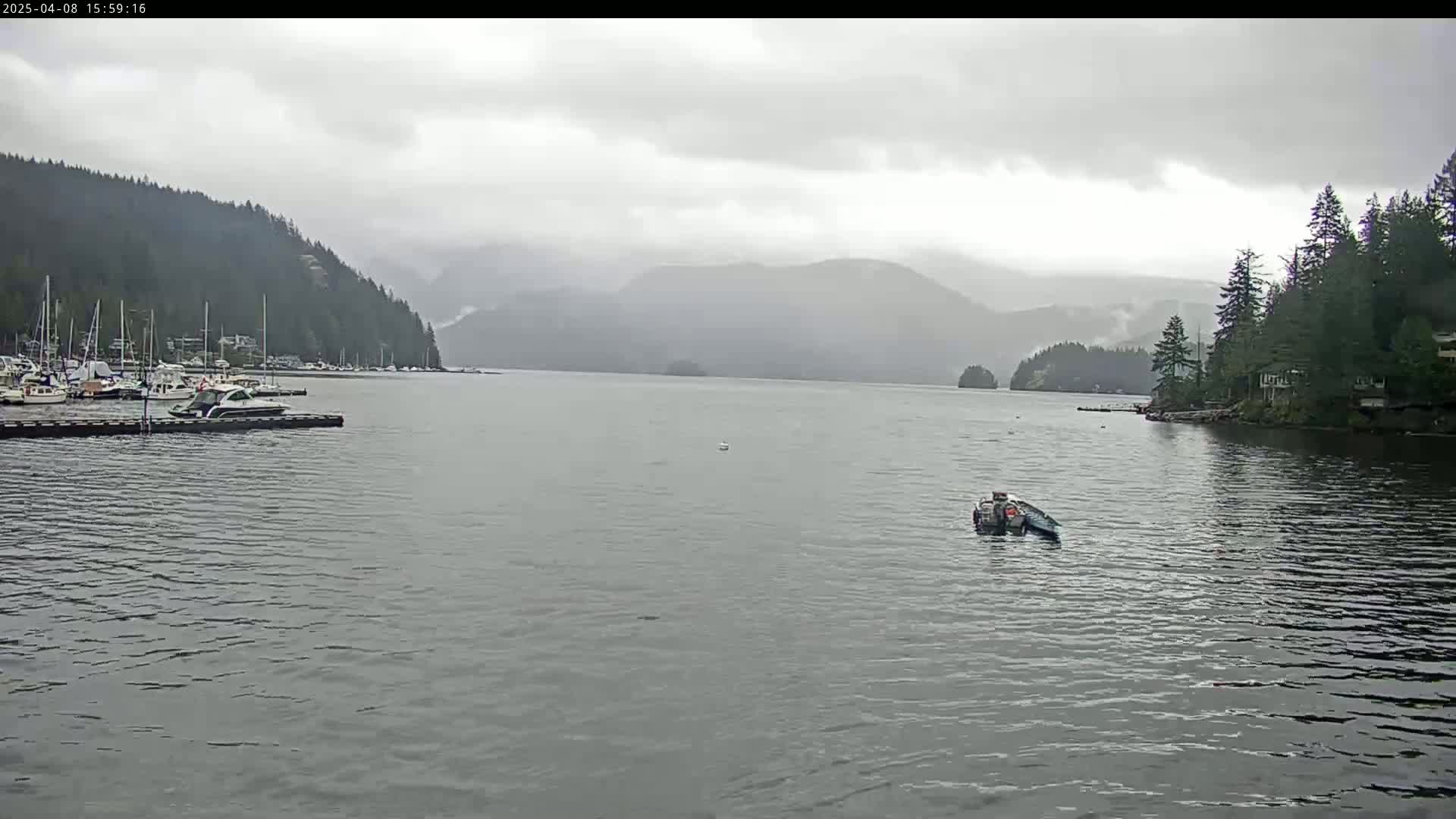 A calm, grey day reveals a bay with several boats docked near a forested shoreline and mountains in the distance.