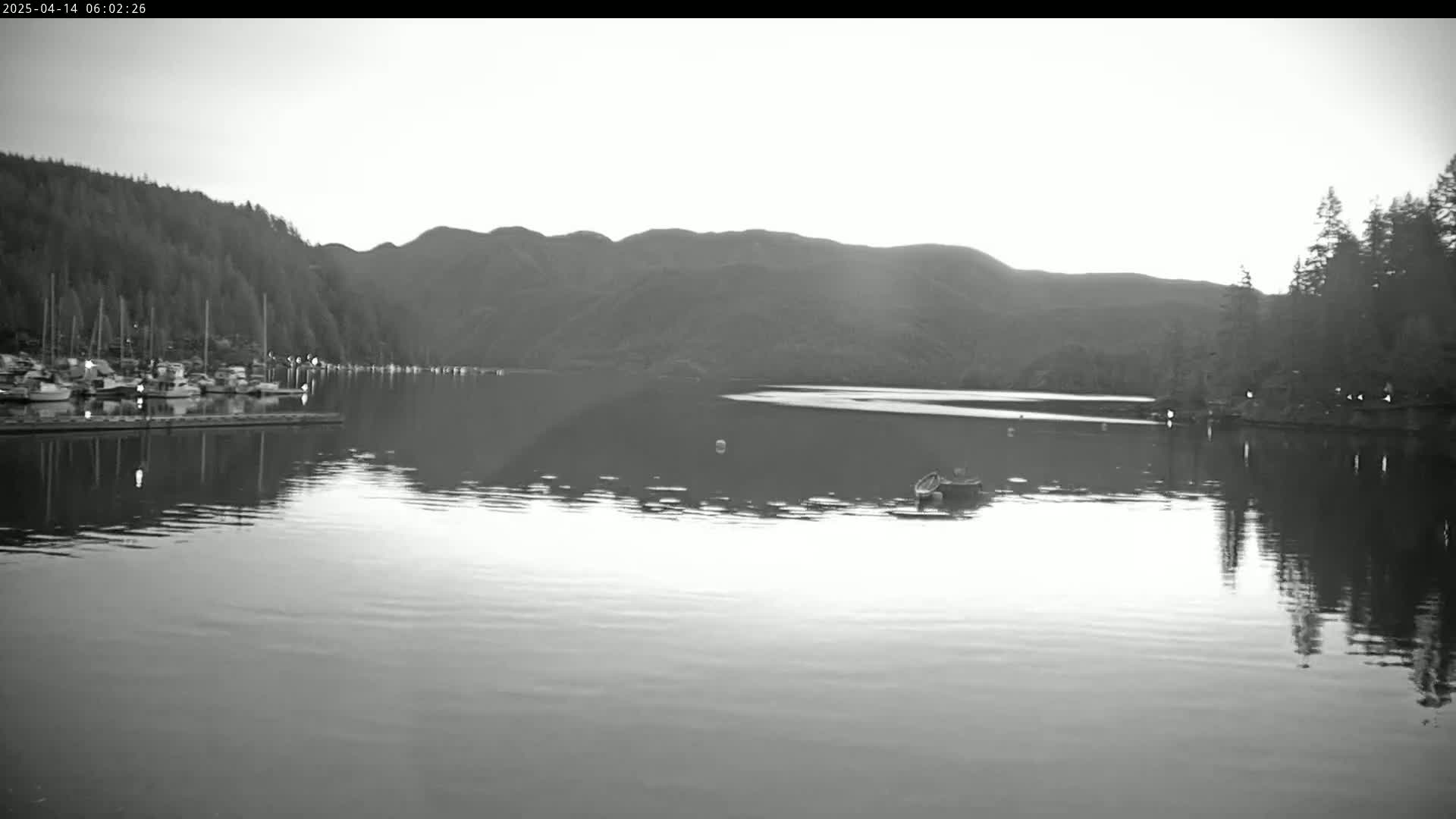 A calm body of water reflects the forested hills and a marina of docked boats under a bright, overcast sky.