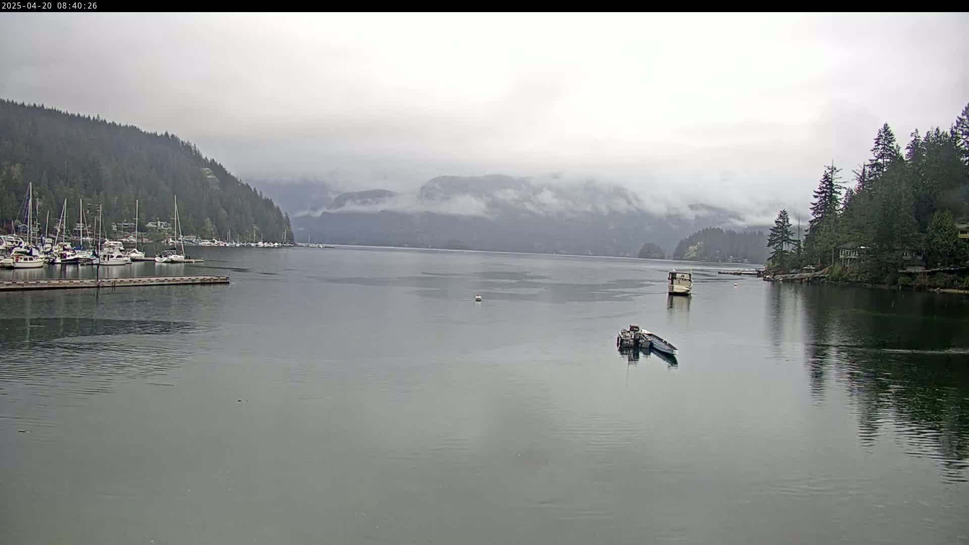 A calm, overcast day reveals a bay with a marina full of boats nestled between forested hillsides and a calm body of water.