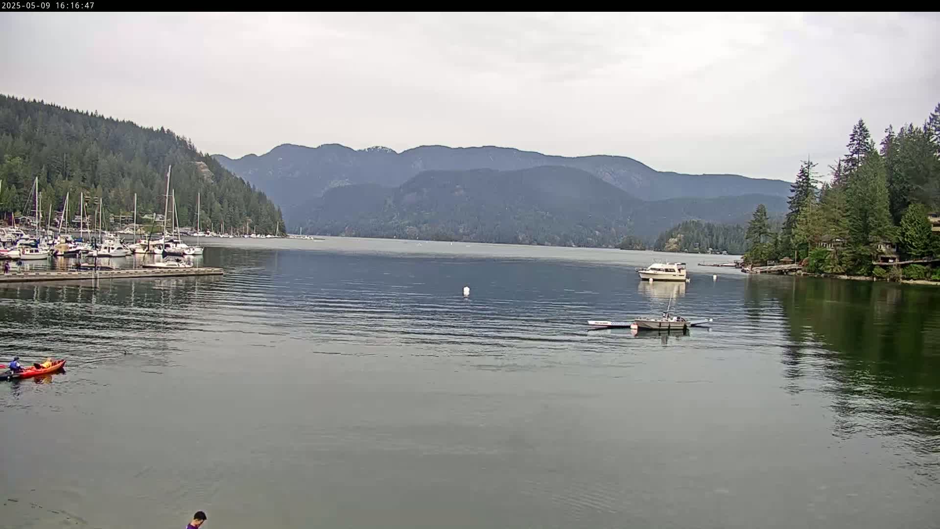 A calm, overcast day shows a bay with numerous boats docked, kayakers paddling, and a motorboat underway, all set against a backdrop of mountains covered in lush green forests.