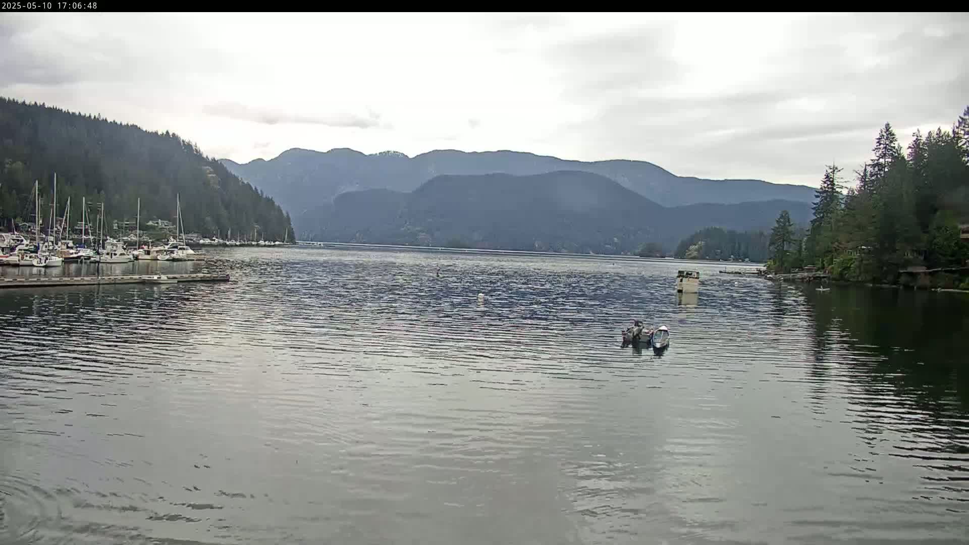 A calm body of water with a marina full of boats is nestled between forested hills under an overcast sky.