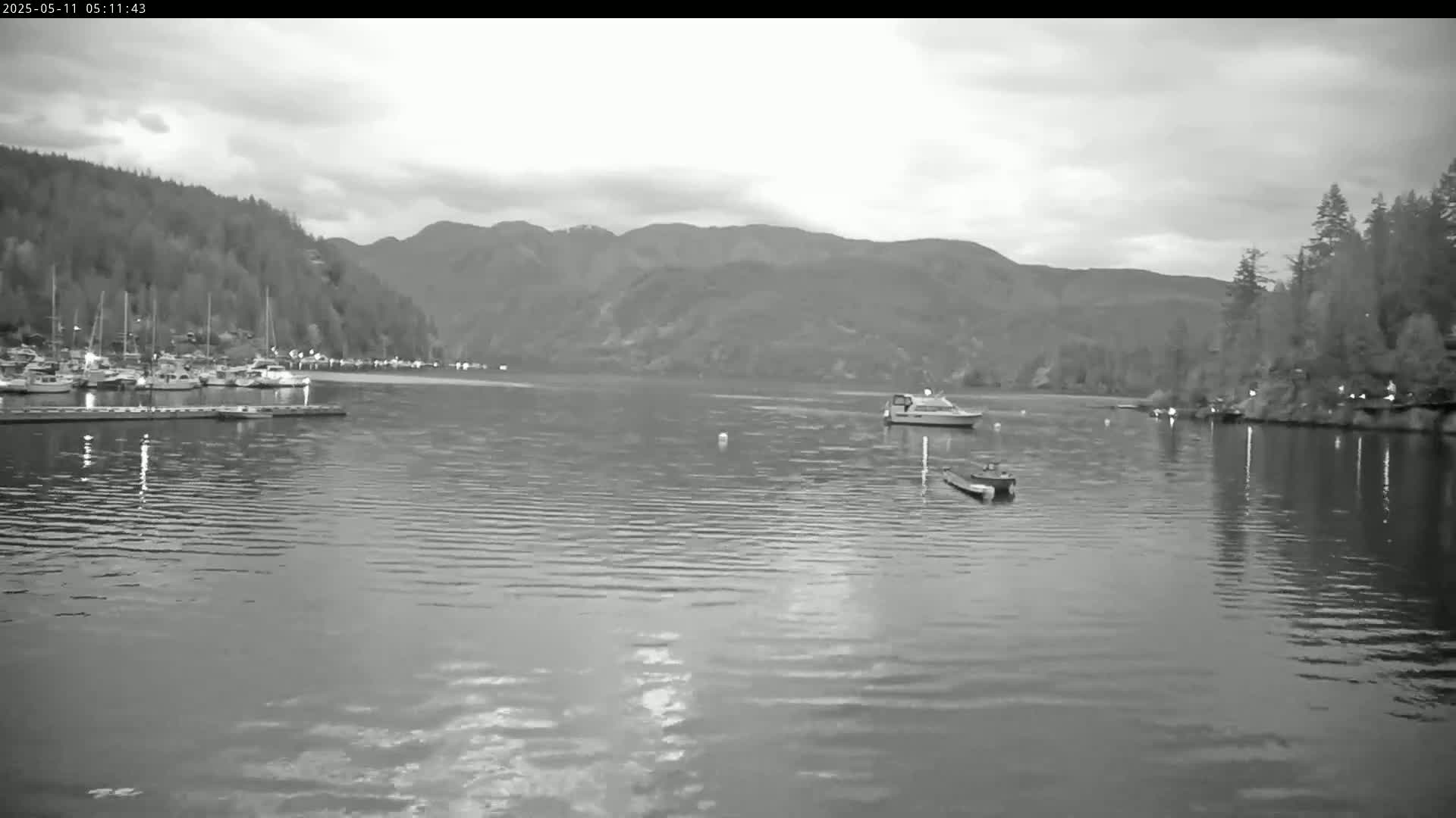 A calm body of water with several boats and a marina is nestled between forested hills under an overcast sky.
