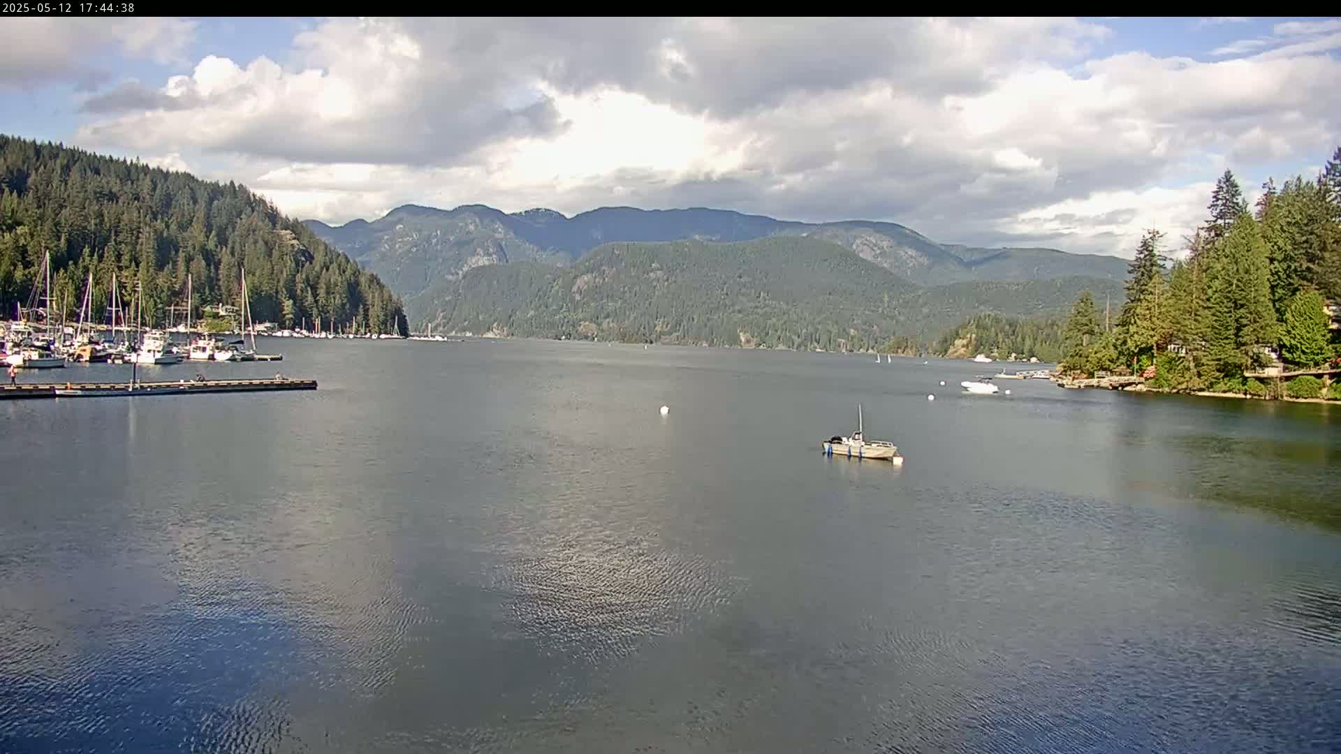 A calm body of water shows several boats at a marina, nestled between a shoreline of evergreen trees and distant mountains under a partly cloudy sky.