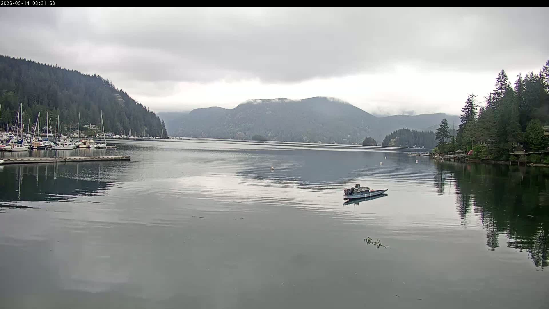 A calm bay with numerous boats docked on one side, a single boat in the center, and forested hills under a cloudy sky.