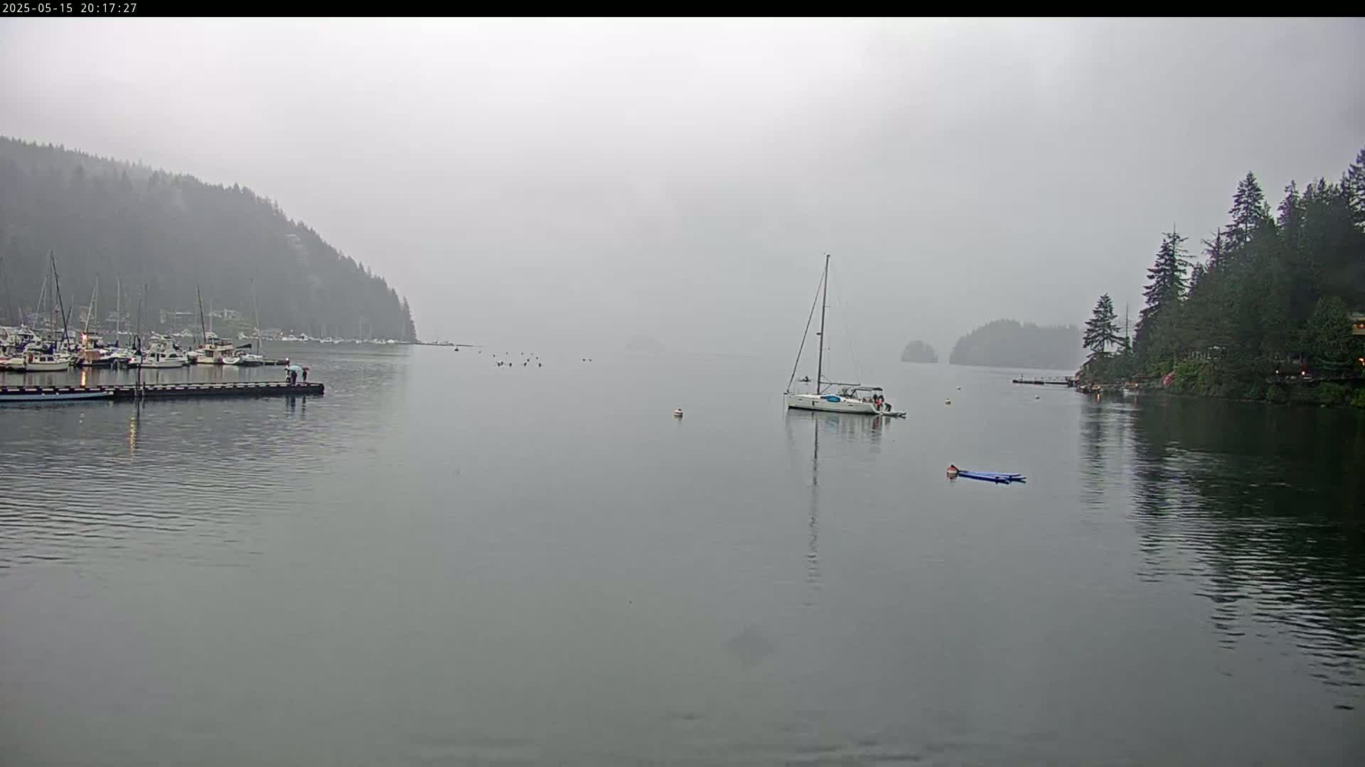 Vancouver Deep Cove Beach & Kayak Center Live Cam - Deep Cove, North Vancouver, Metro Vancouver, British Columbia, Canada