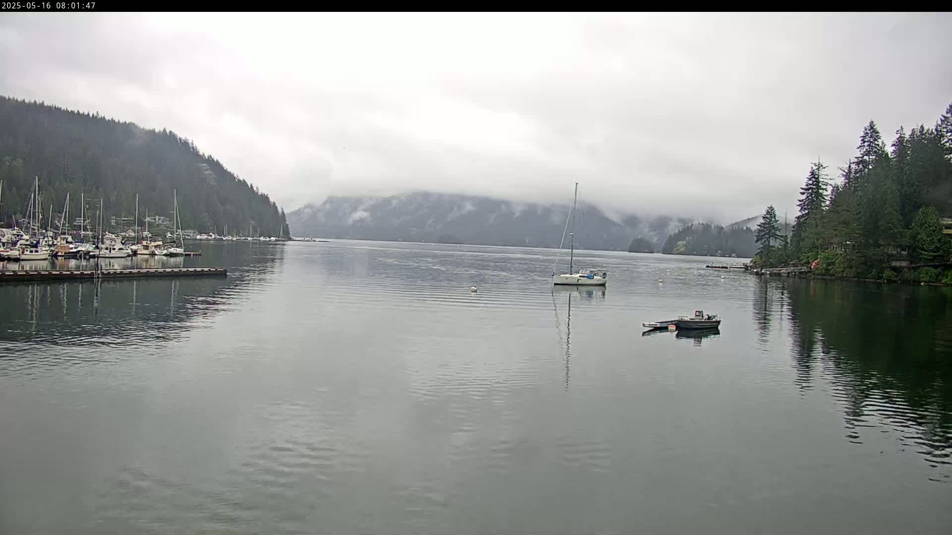 A calm bay with numerous boats in a marina, a sailboat in the water, and forested hills shrouded in fog.