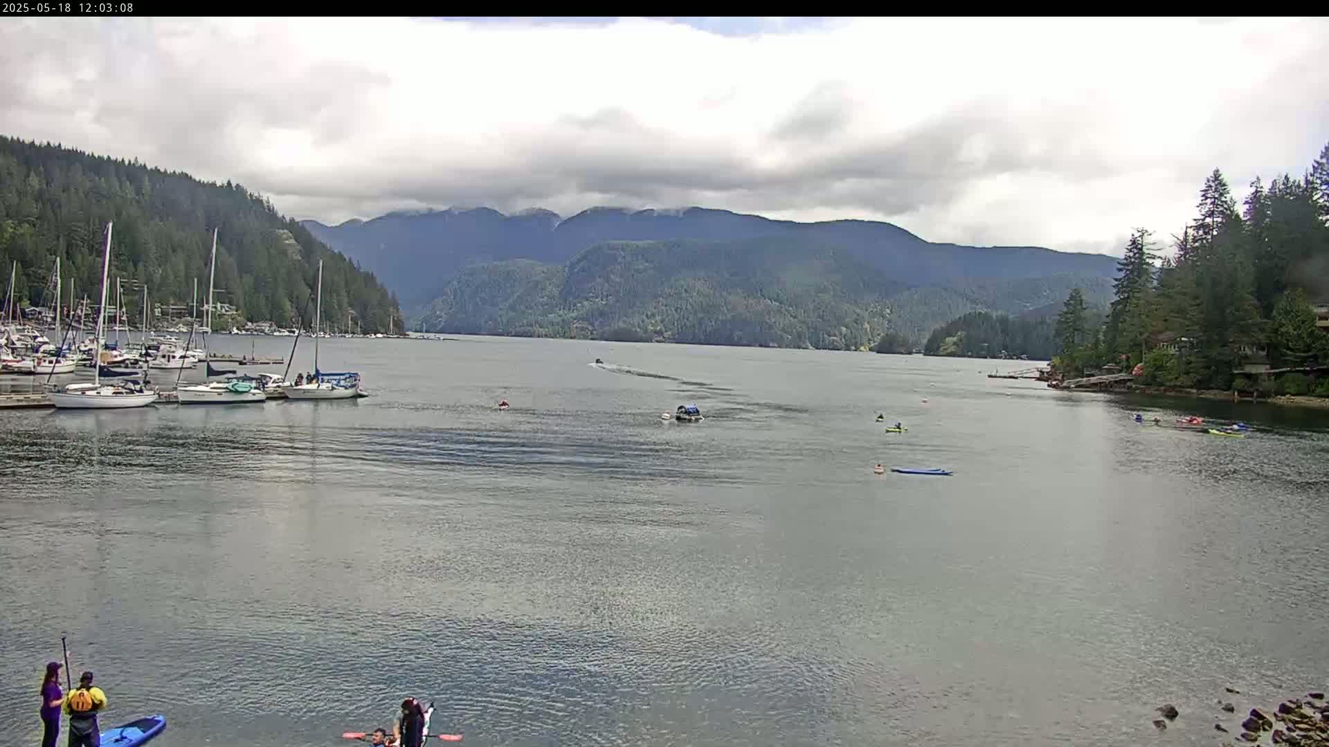 A calm bay with numerous sailboats docked, several kayaks and paddleboards on the water, and forested mountains in the background under a cloudy sky.