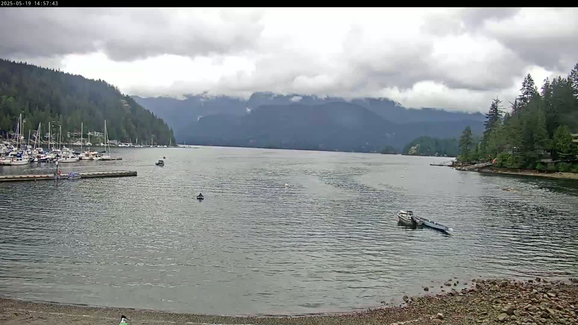 A calm bay with a marina full of boats is nestled between forested hills under a cloudy sky.