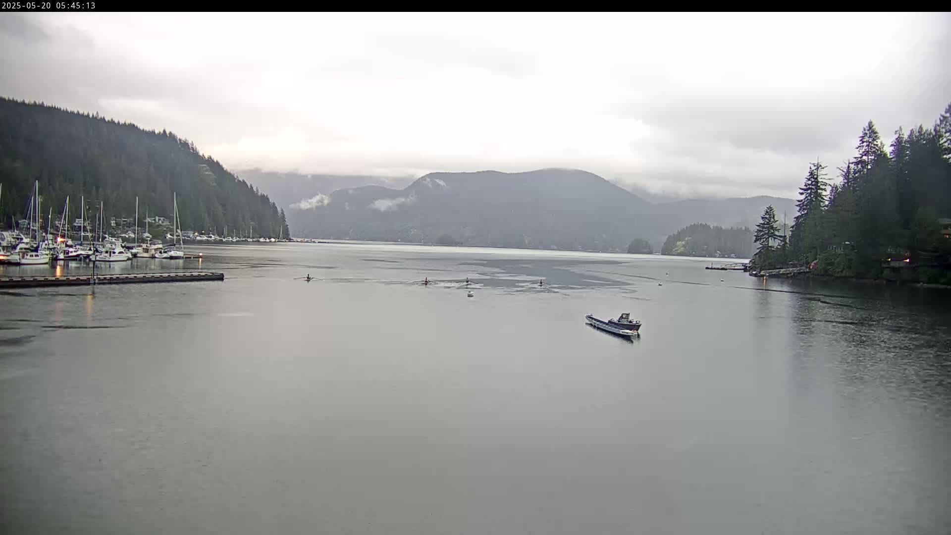 A calm, overcast day shows a body of water with several boats, rowers, and a marina nestled against a mountainous, forested shoreline.