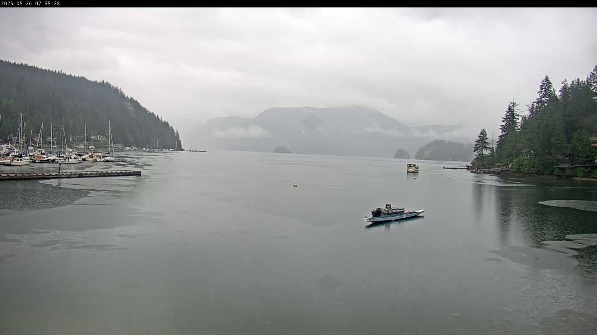 A calm bay, under an overcast sky, features several boats moored near a forested shoreline and mountains in the distance.