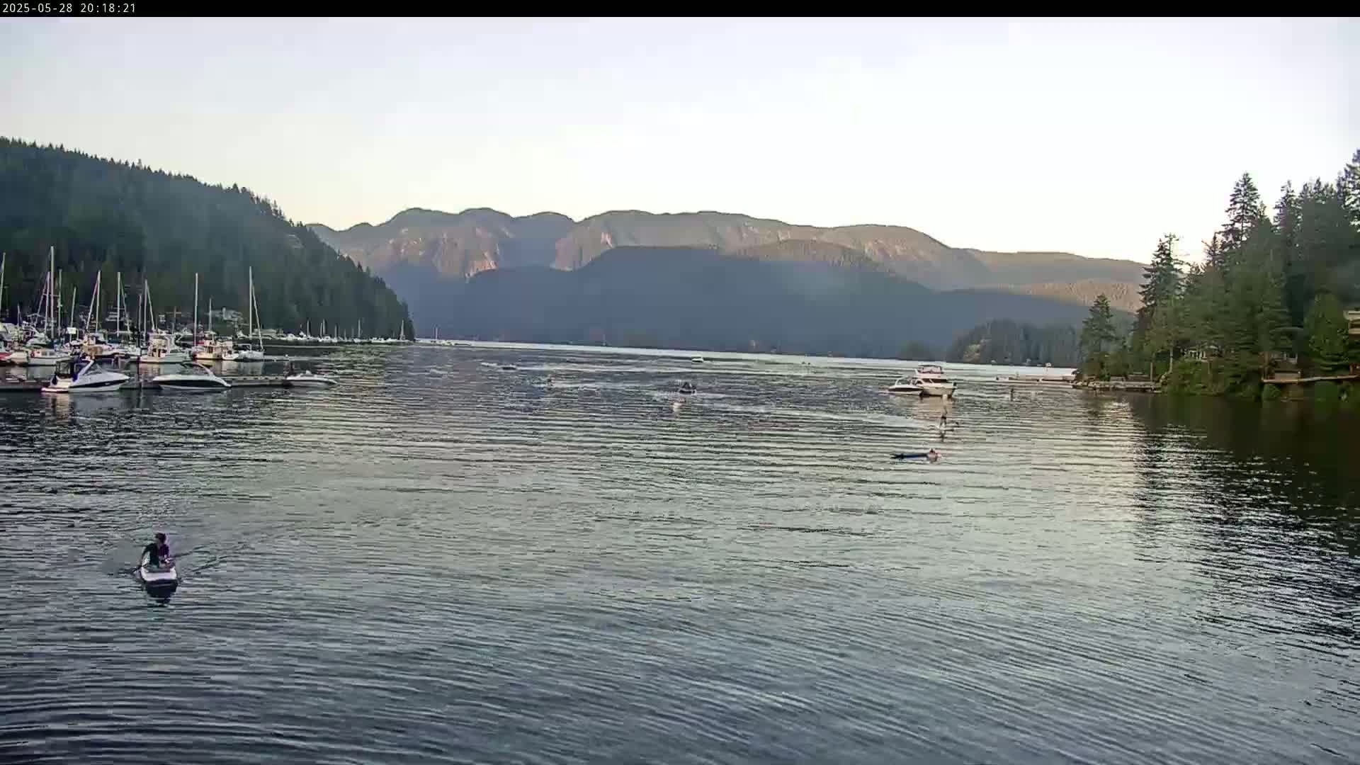 A calm body of water shows several boats docked near a shoreline lined with trees and mountains in the background under a clear, light-colored sky.