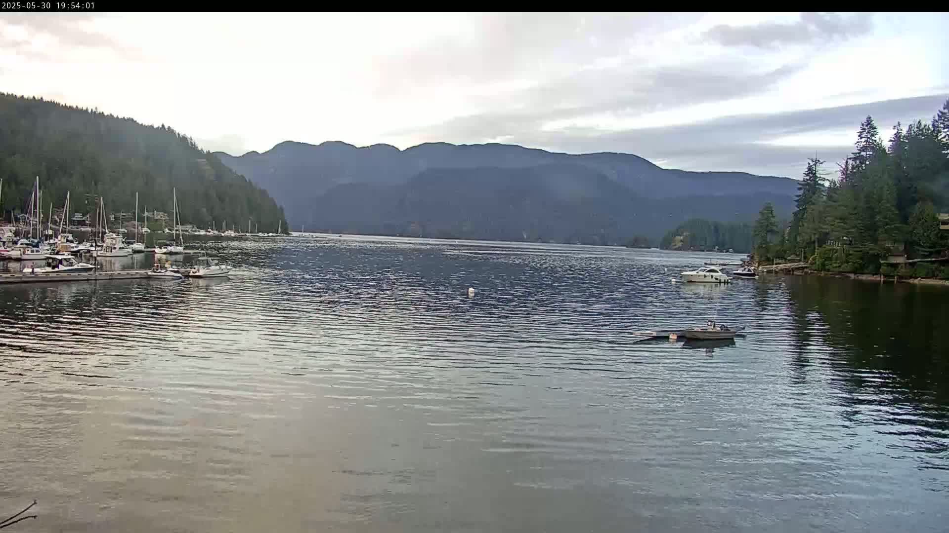 A calm body of water with numerous boats docked near a shoreline of evergreen trees and mountains in the background under a partly cloudy sky.