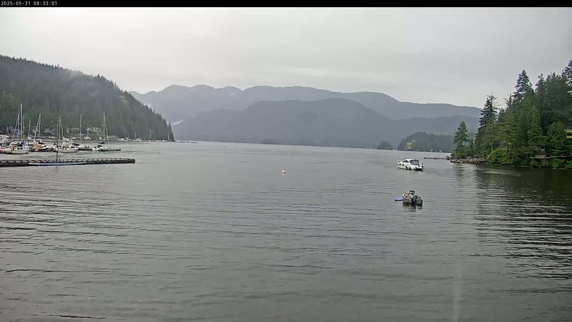 A calm body of water, under an overcast sky, shows several boats docked near a forested shoreline with mountains in the background.