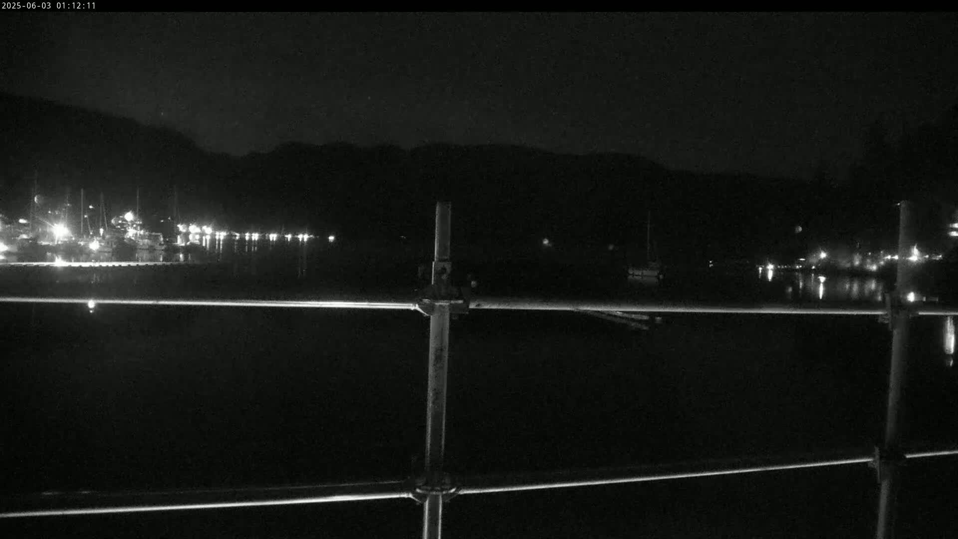 A nighttime view of a calm body of water with boats docked along a shoreline, seen from behind a metal railing under a dark, clear sky.