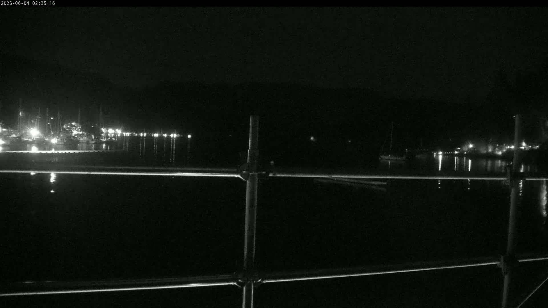 A nighttime view of a calm body of water with docked boats and faint lights along the shore, seen through a metal railing.