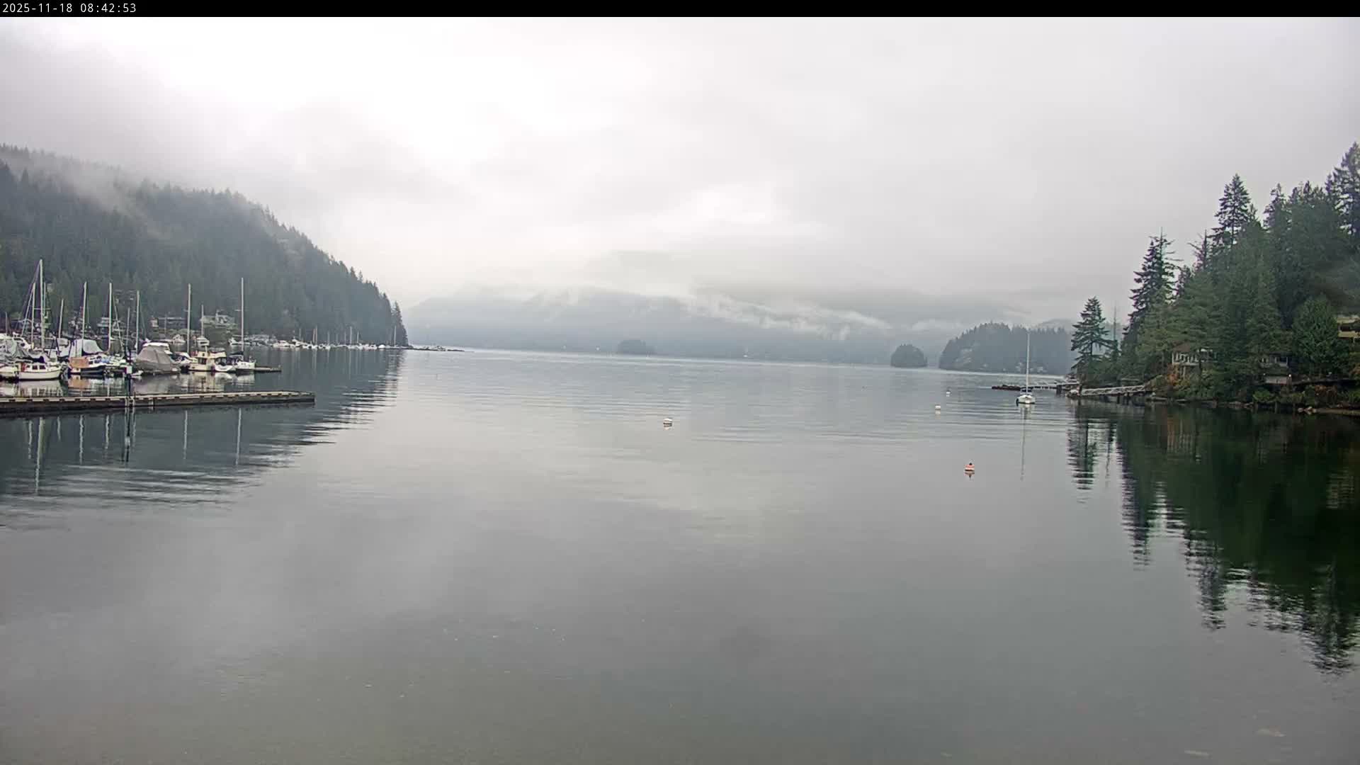 A moonlit night scene shows a body of water reflecting the lights of a harbor and distant hills under a partly cloudy sky.