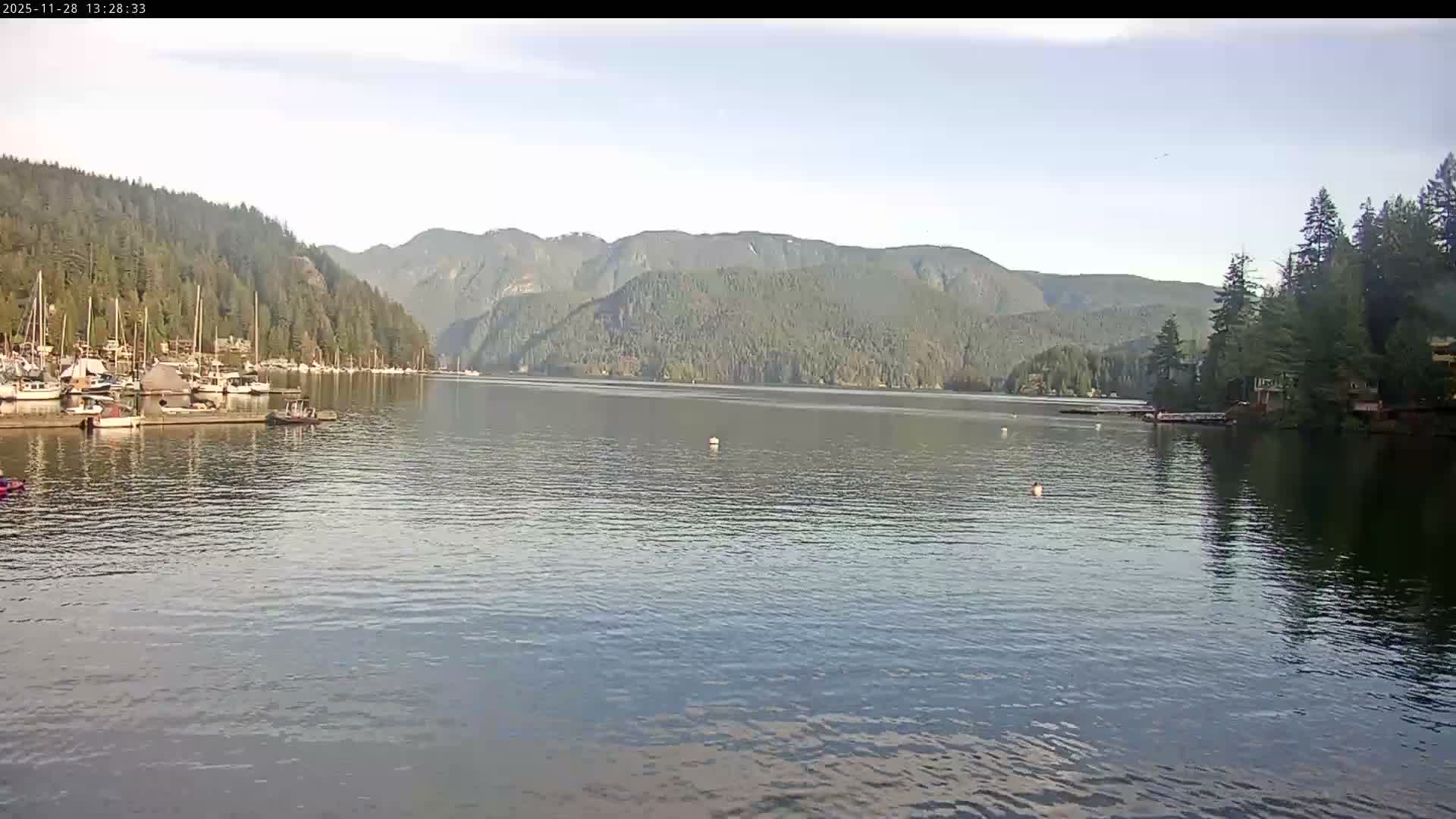 A wide view captures a serene bay or fjord surrounded by lush forested mountains under a clear to partly cloudy sky, with numerous boats docked at a marina on the left and several buoys dotting the calm water.