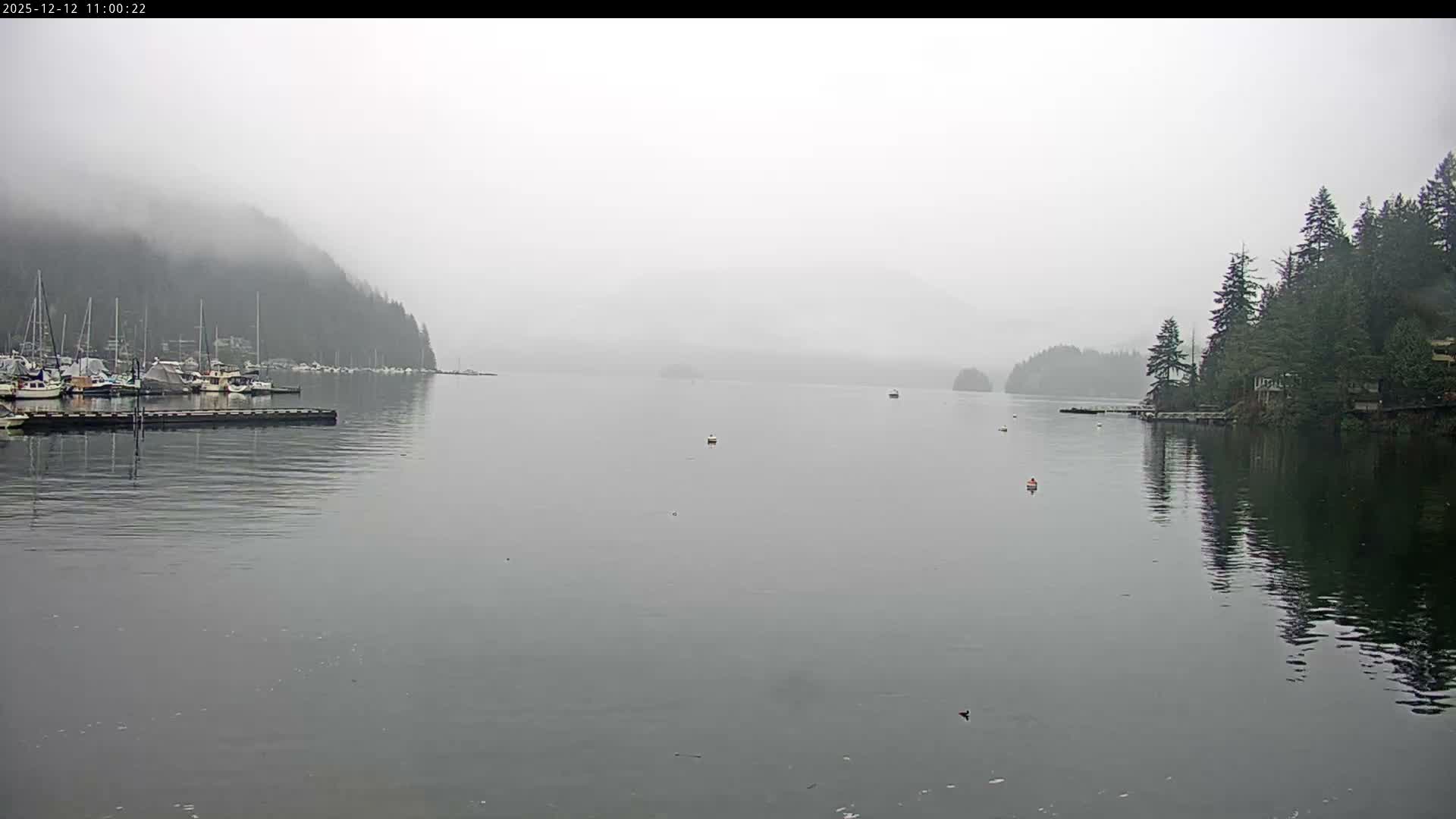 Vancouver Deep Cove Beach & Kayak Center Live Cam - Deep Cove, North Vancouver, Metro Vancouver, British Columbia, Canada