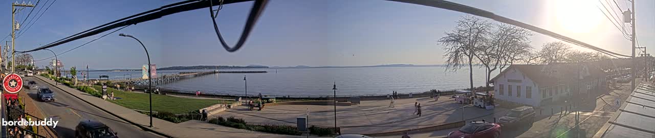 A sunny waterfront scene features a pier, calm water, a street with cars, and buildings along a shoreline with trees, and a grassy area.