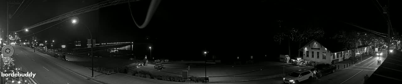 A nighttime, black and white view of a town's waterfront, featuring a street with cars, buildings with lights, and a dark body of water.