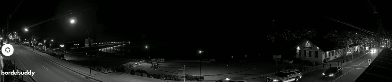 A nighttime, black and white view of a street scene with cars, buildings, and a body of water in the distance, illuminated by streetlights.