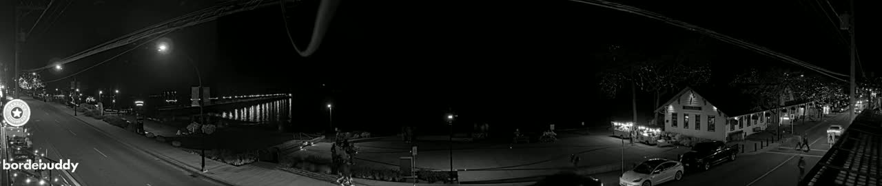 A nighttime, black and white view of a waterfront town with a street, pier, and buildings illuminated by streetlights.