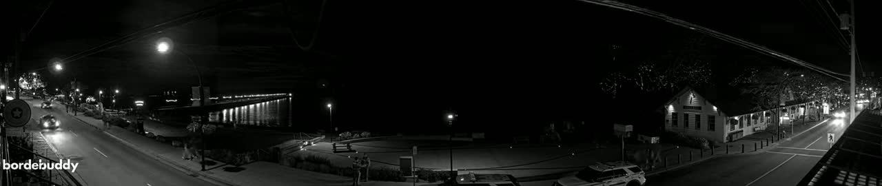 A nighttime black and white view of a town's waterfront at night, showing a street with cars, a pier with lights reflecting on the water, and buildings under a dark sky.
