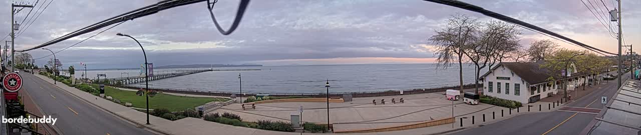 A calm, overcast day reveals a waterfront scene with a pier extending into a body of water, a paved plaza, and a white building along a street lined with trees.