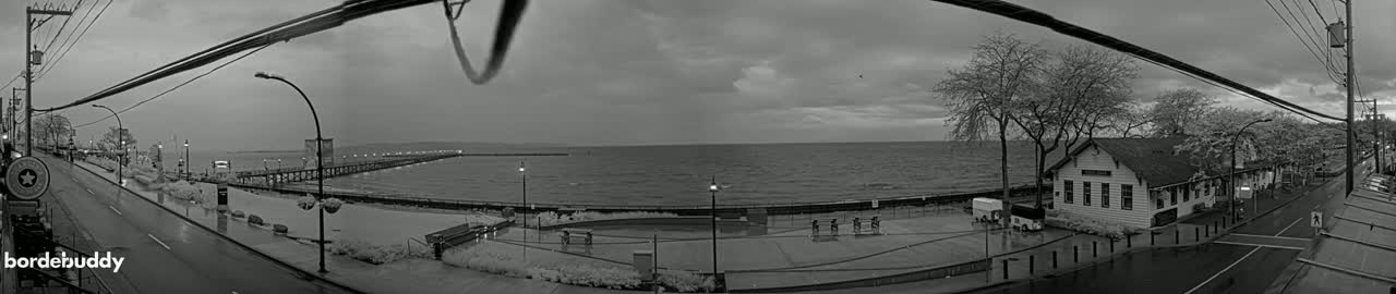 A wet, overcast day shows a waterfront scene with a long pier, buildings, trees, and a street, all under a gray sky.