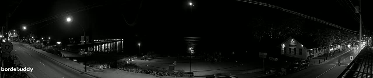 A nighttime, black-and-white view of a waterfront town with a pier, buildings, and a street, illuminated by streetlights.