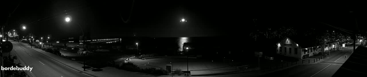 A nighttime, black-and-white view of a quiet street scene near a body of water under a bright moon.