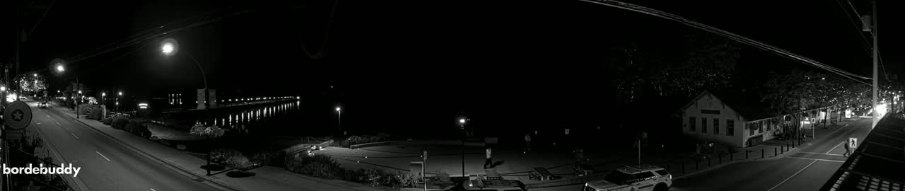 A nighttime, black-and-white view of a town's streets and waterfront, showing a pier extending into dark water under a clear sky.