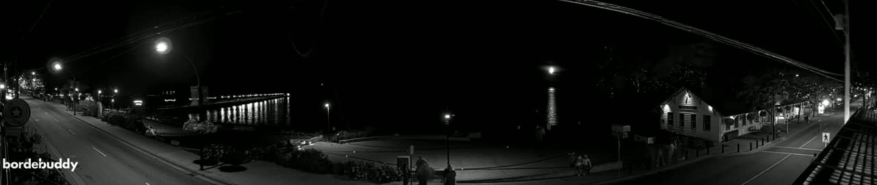 A nighttime, black and white panoramic view of a town's waterfront, showing a street with lights, buildings, and a pier reflected in calm water.