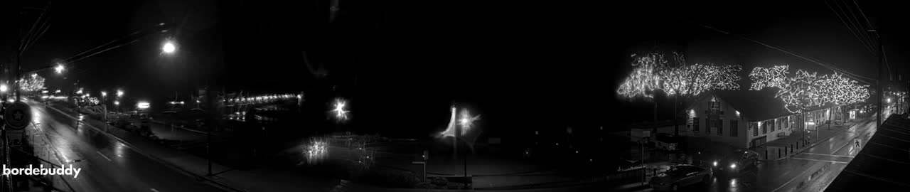 A panoramic black and white view captures a wet street at night, illuminated by numerous streetlights and trees adorned with decorative lights, suggesting recent rain.