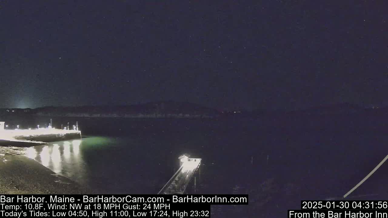 A nighttime view of a lit pier extending into dark water under a clear, starry sky.