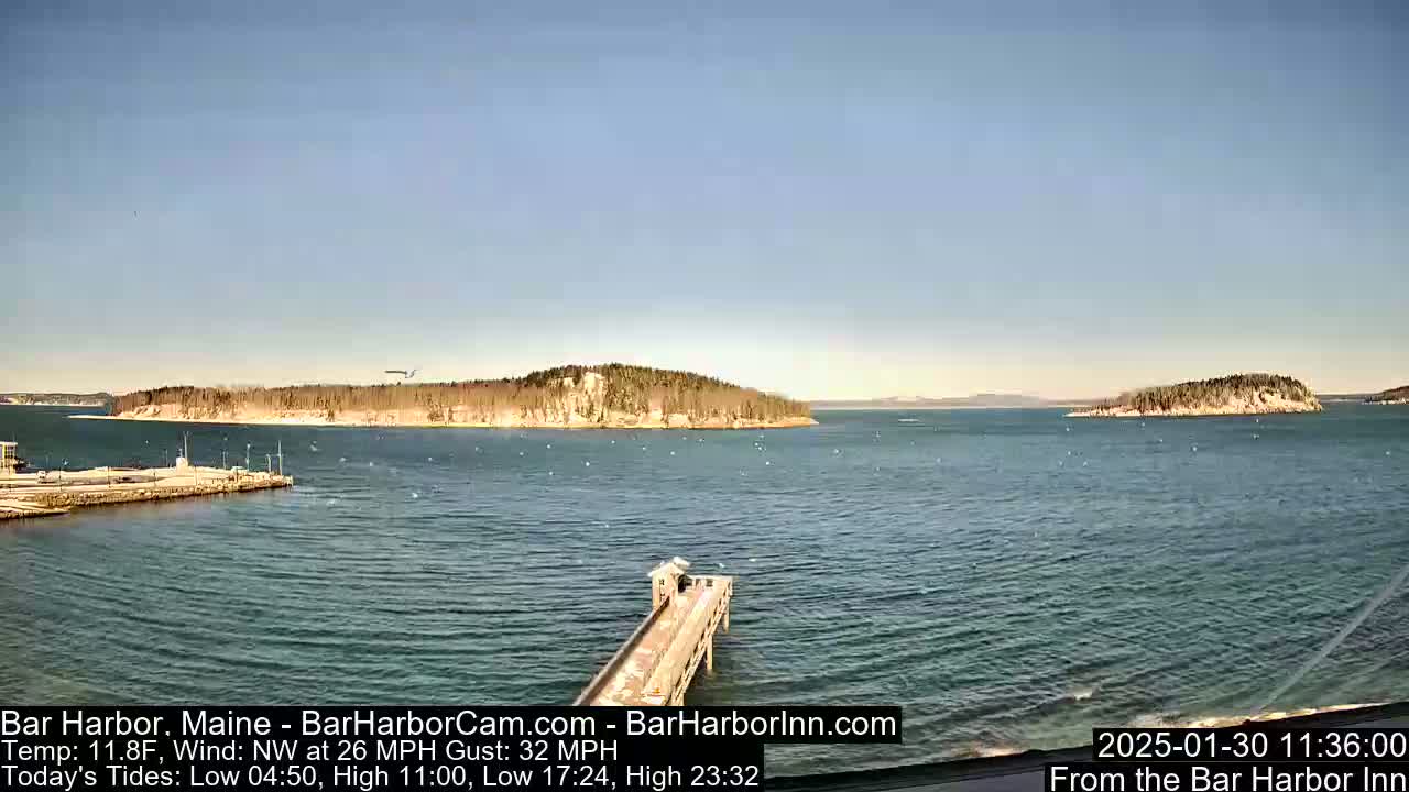 A long pier extends into a calm, blue body of water toward a small, tree-covered island under a clear, bright sky.