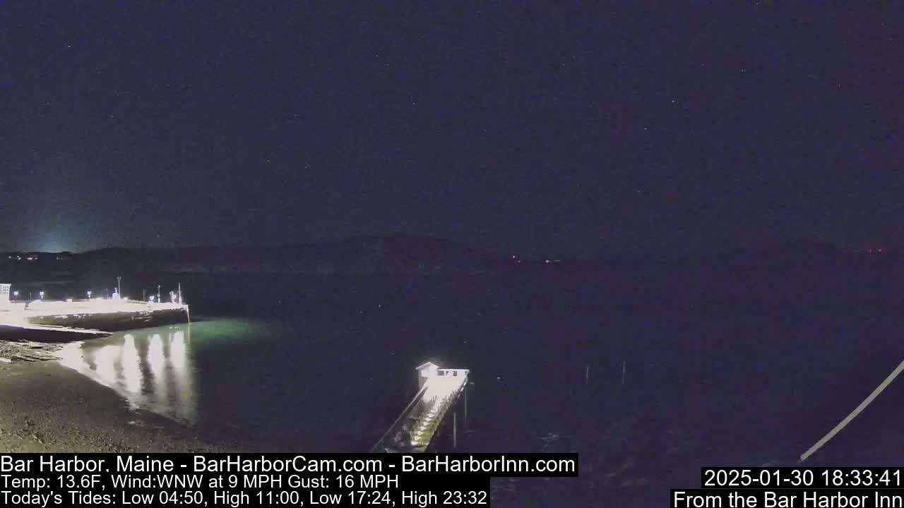 A nighttime view of a calm harbor with a pier extending from a lit shoreline under a clear, starry sky.