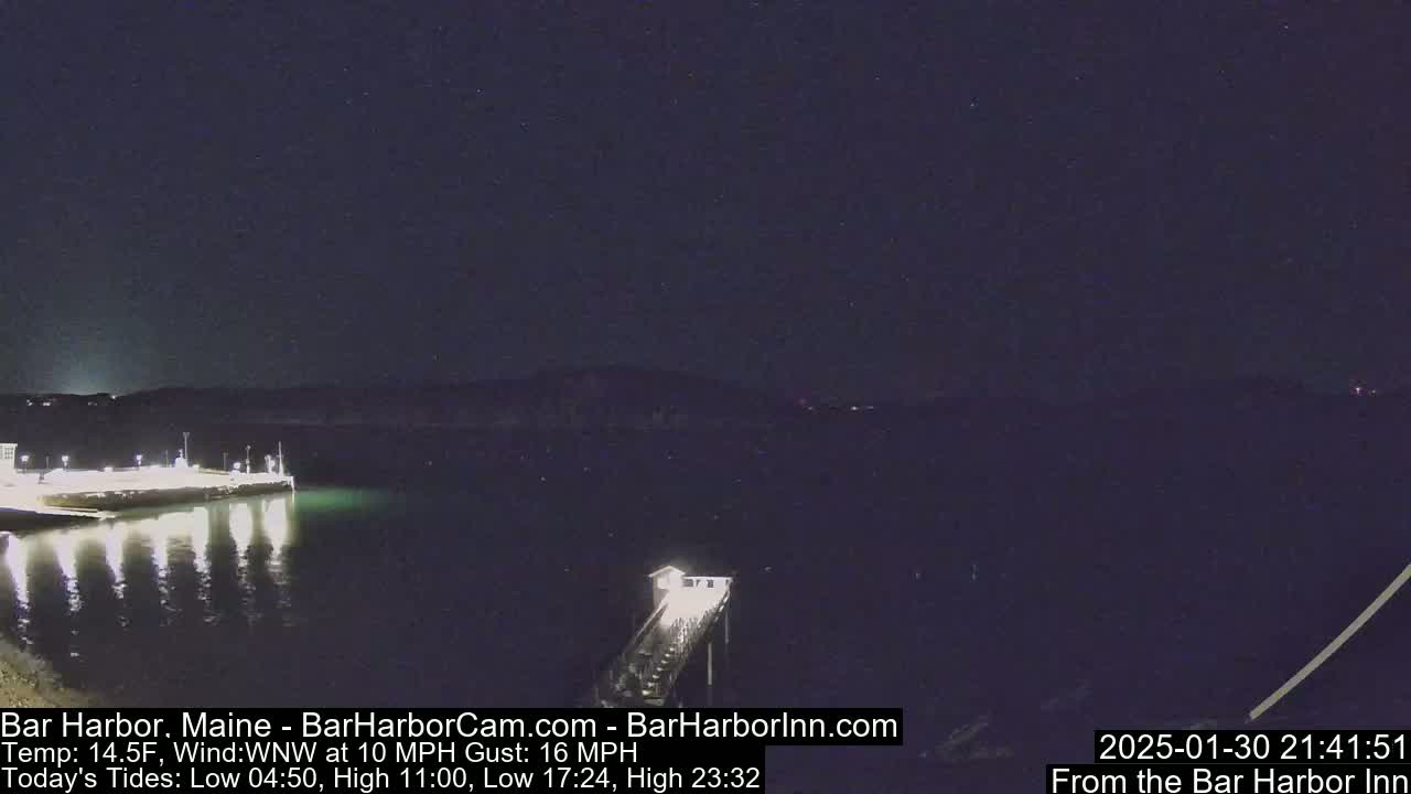A nighttime view of a harbor with a pier extending into calm water under a clear, starry sky.