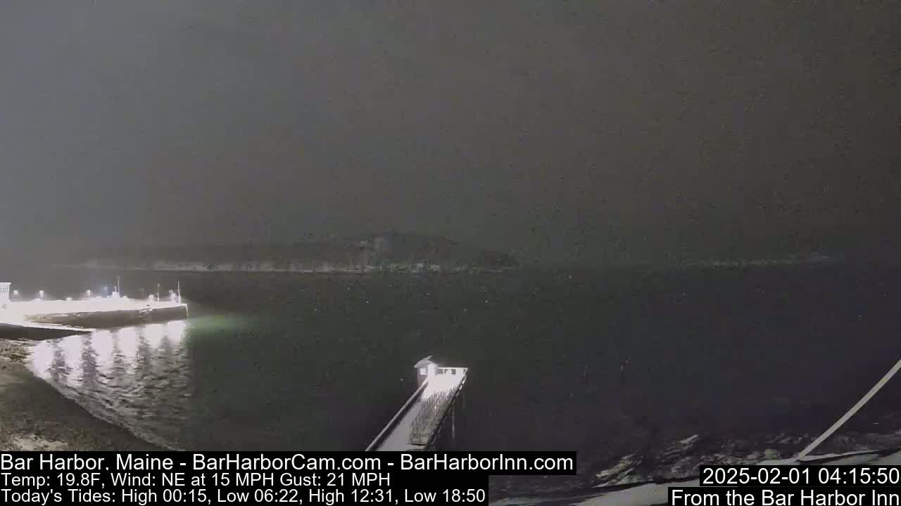 A snow-covered pier extends into dark, still water under a dim, snowy night sky.