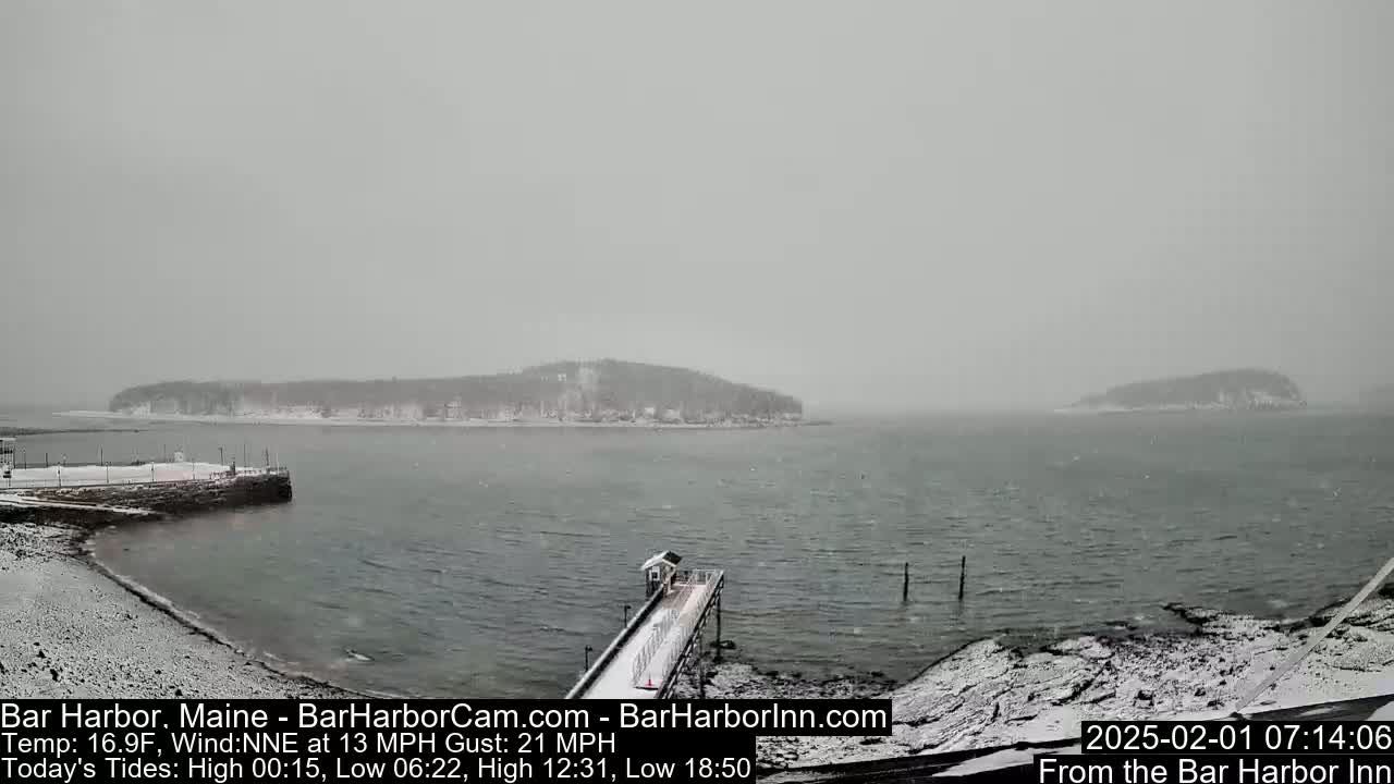 A snow-covered shoreline with a pier extends into a gray, snow-filled body of water, beyond which lie snow-dusted islands under an overcast sky.