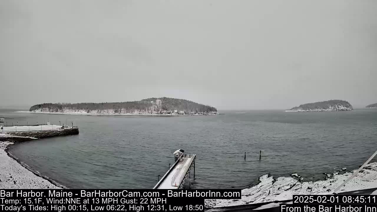 A snow-covered pier extends into a gray, snow-filled harbor, with snow-dusted islands visible in the distance under an overcast sky.