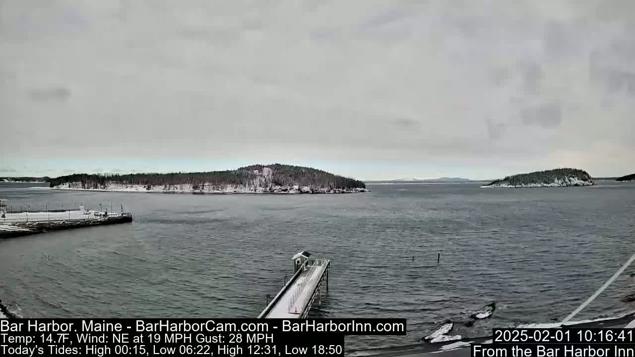 A snow-dusted, low-lying island is visible across a calm body of water under an overcast sky, with a long pier extending from the foreground.