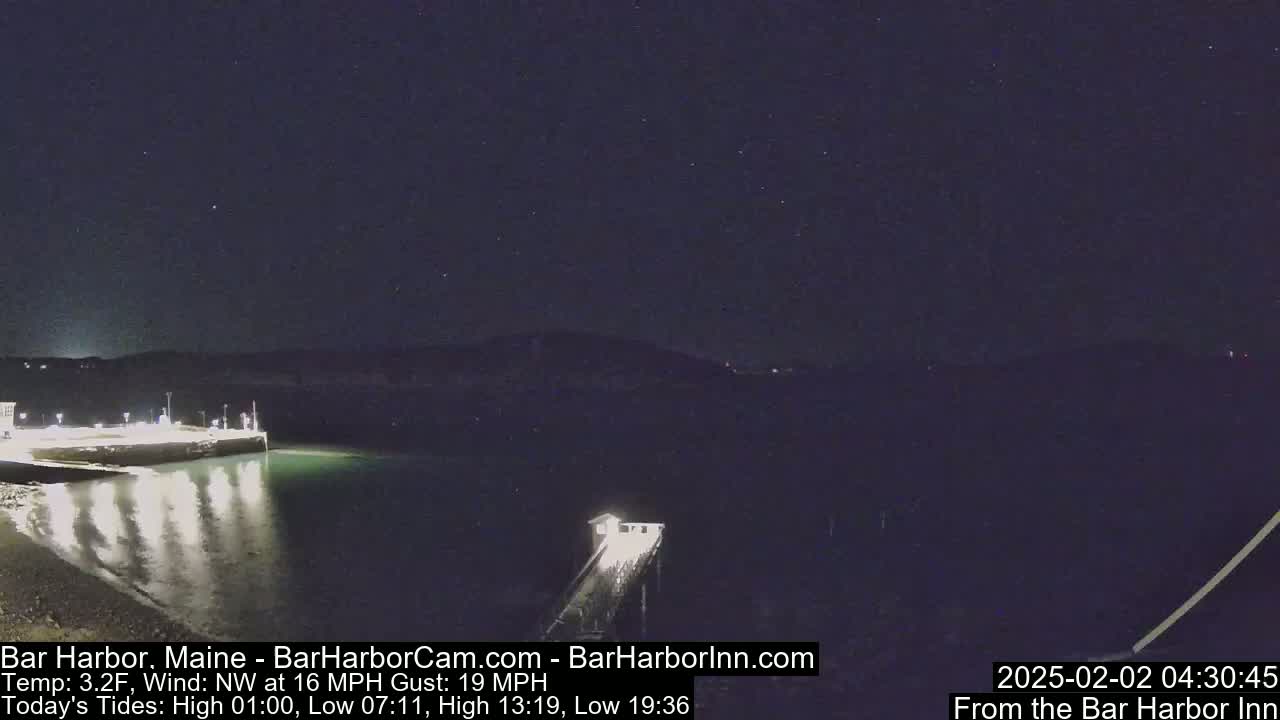 A nighttime view of a calm harbor with a pier extending into the water under a clear, starry sky.