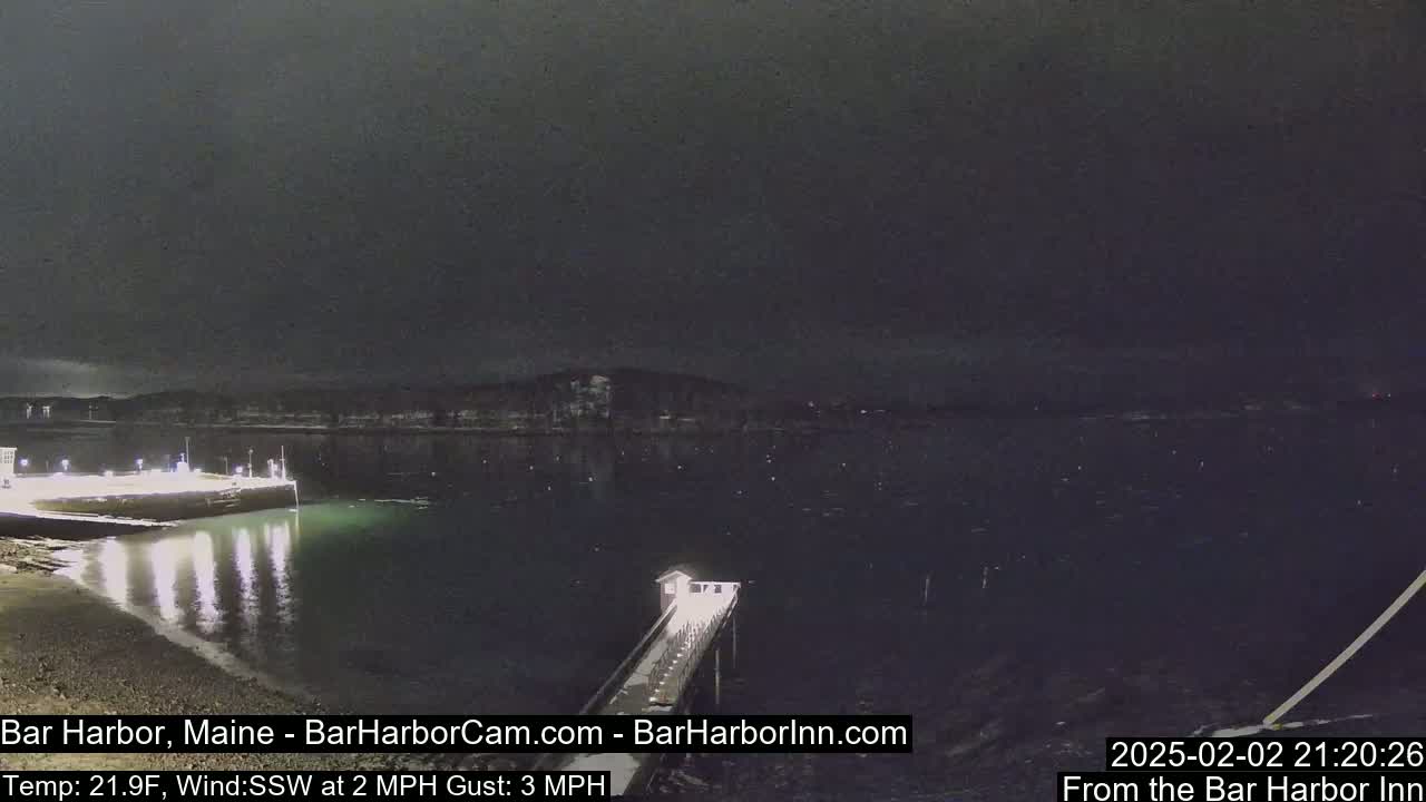 A nighttime view of a dark, calm body of water with a pier extending from a lit shoreline, under a mostly cloudy sky.