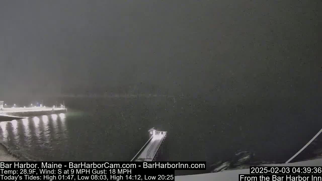 A nighttime view of a snow-covered pier extending into dark water under a heavily snowing sky.