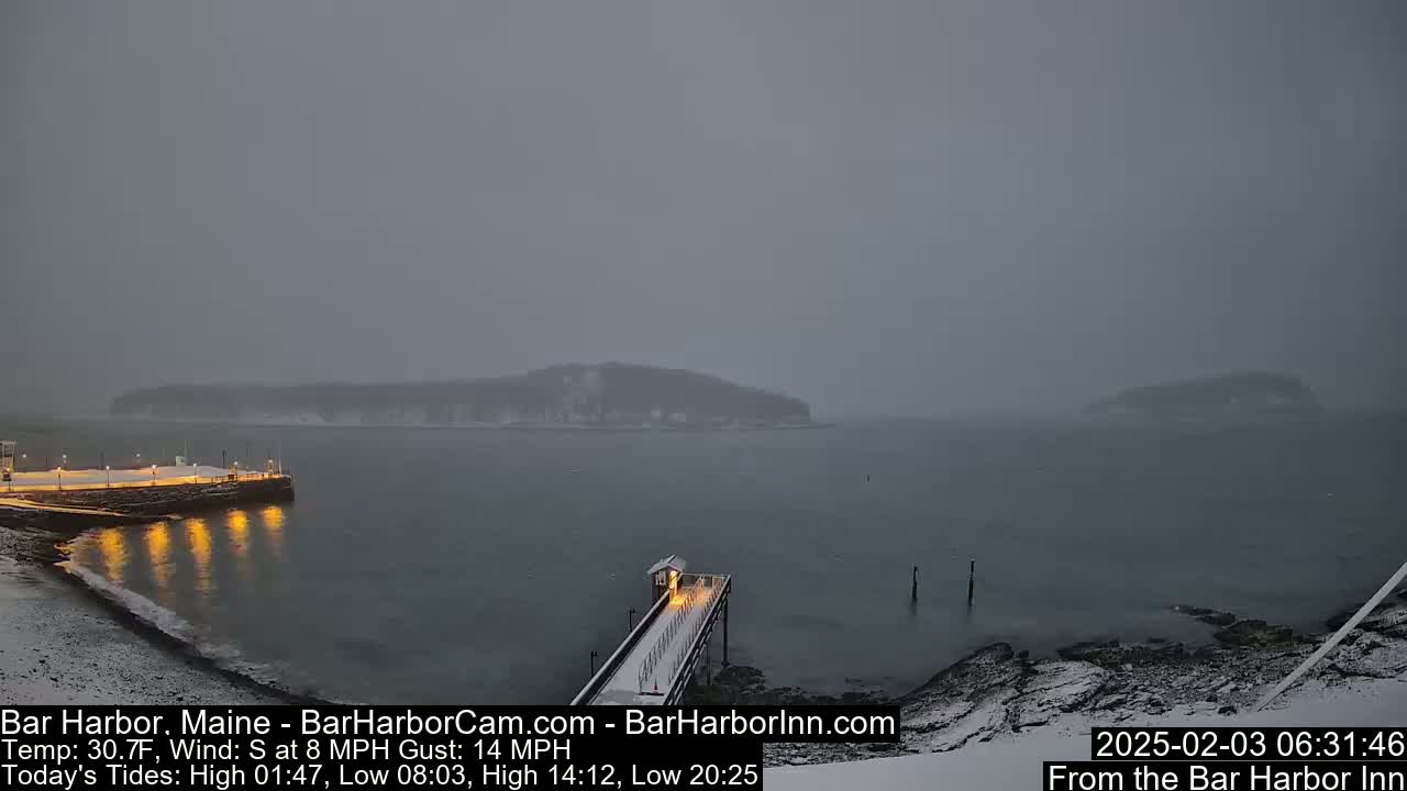 A snow-covered pier extends into a gray, snow-filled harbor with a small island visible in the distance under an overcast sky.