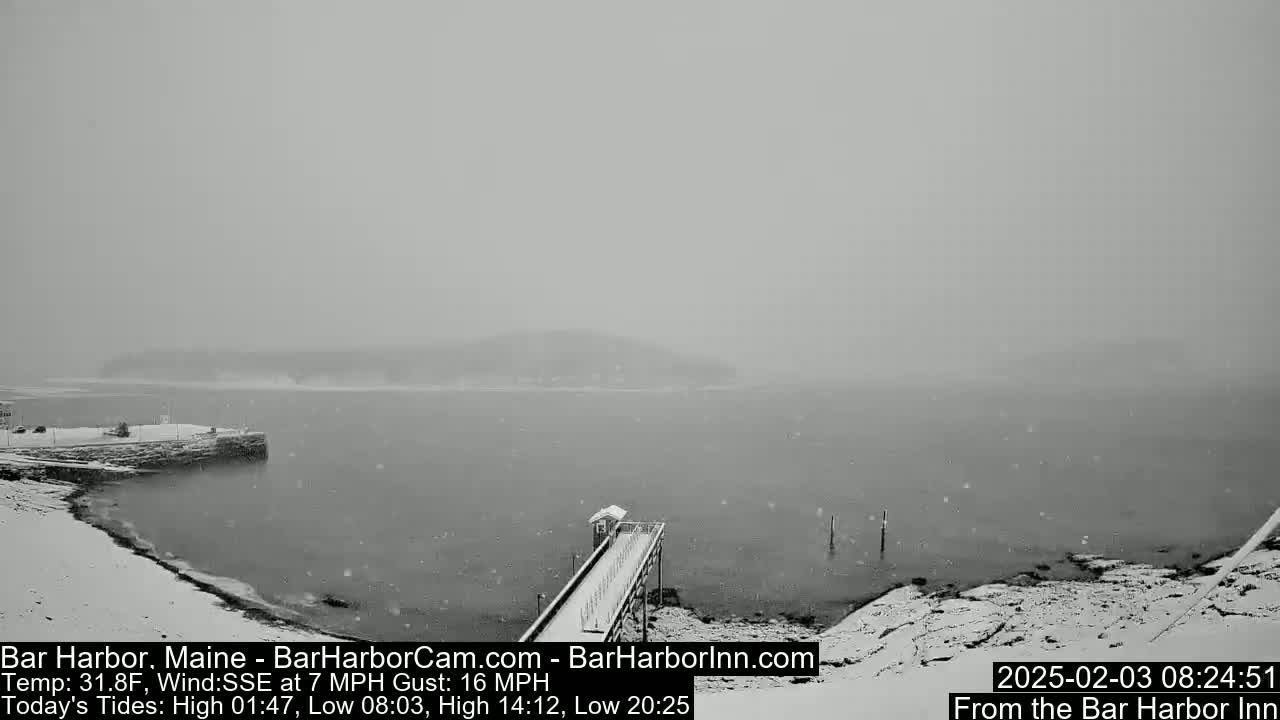 A snow-covered pier extends over a calm, gray body of water under a heavy snowfall.